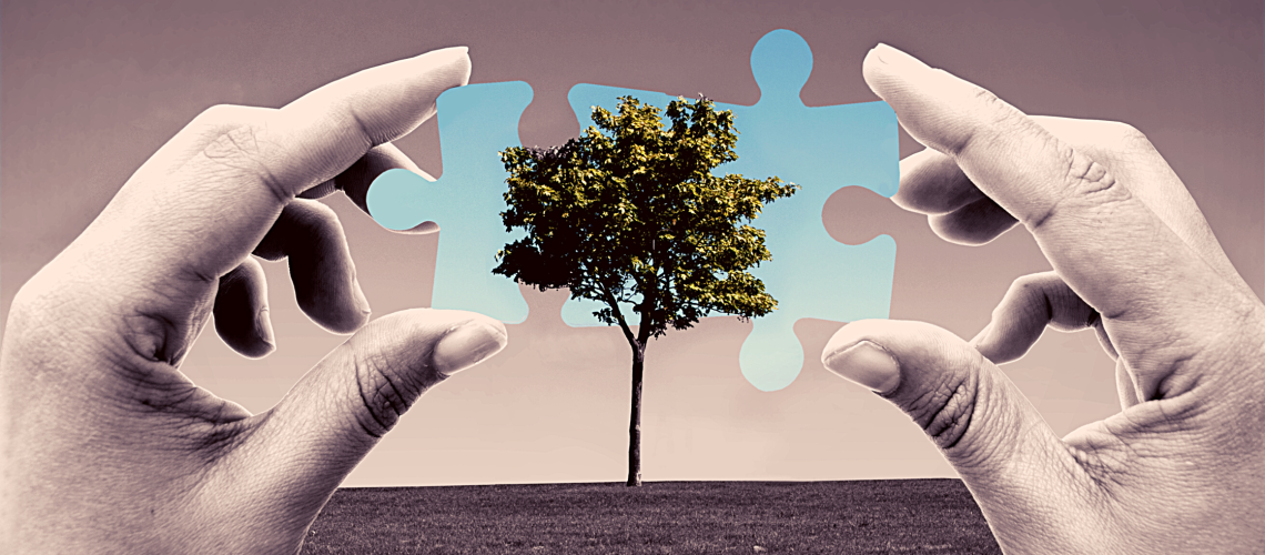 Czym jest psychoterapia pozytywna?